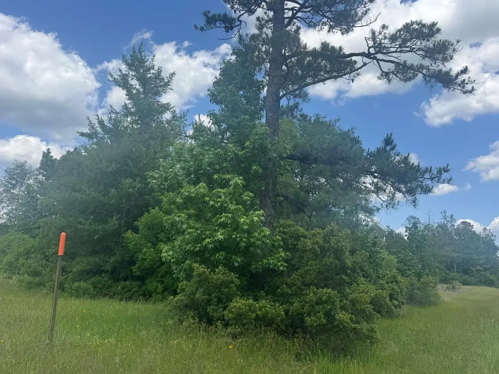 Lot 33 Raybo Drive, Kirbyville, TX 75956 - Image #1