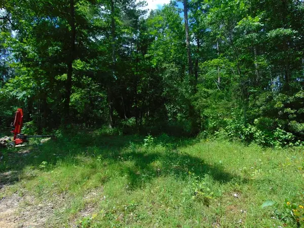 246 Gum Springs Rd, Pollok, TX 75969