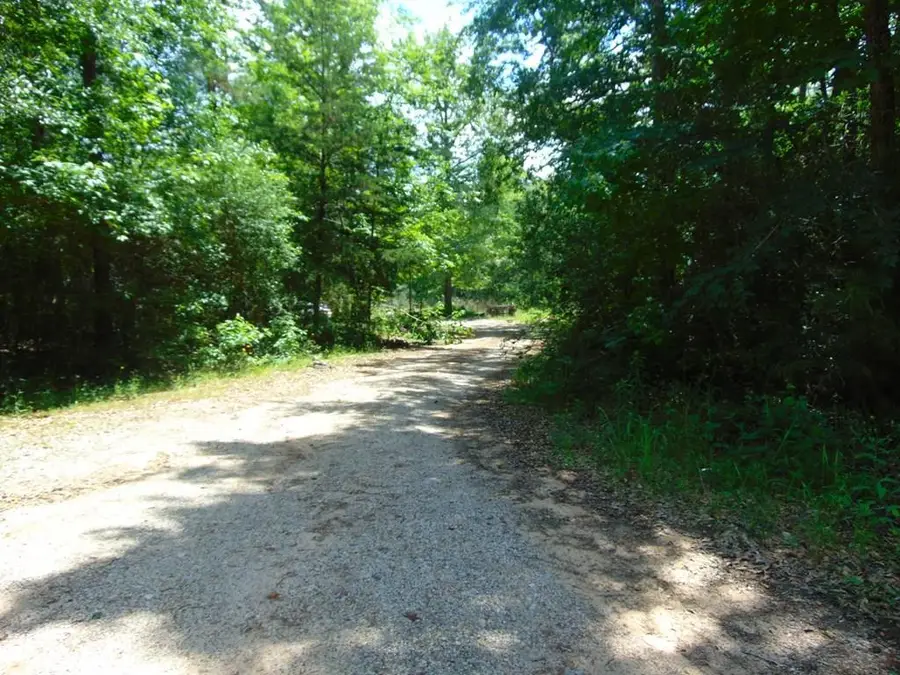 246 Gum Springs Rd, Pollok, TX 75969 - Image #2