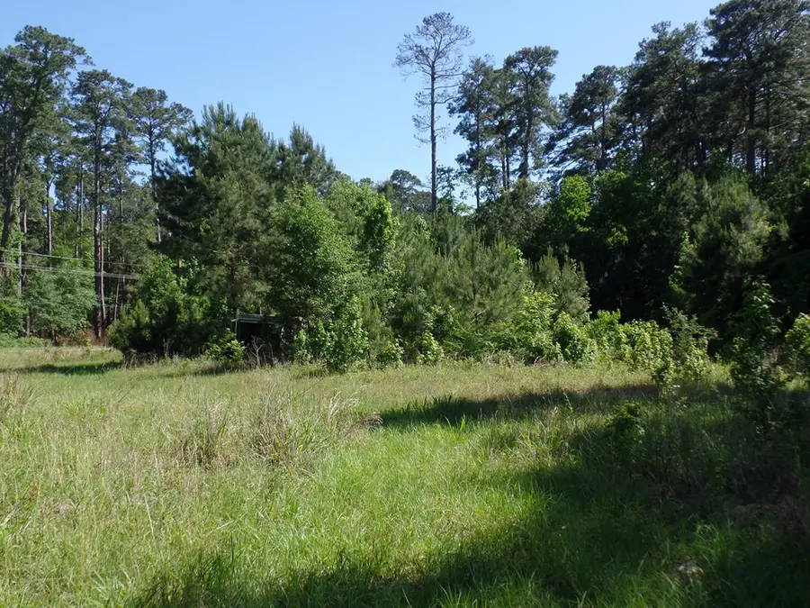 5185 Sh 21 E, Hemphill, TX 75948 - Image #2