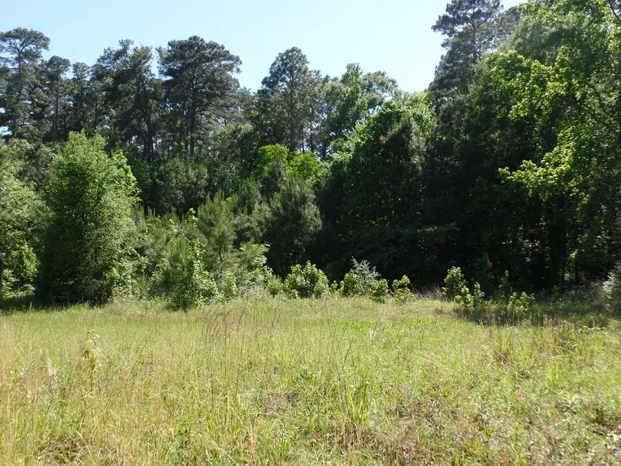 5185 Sh 21 E, Hemphill, TX 75948 - Image #3