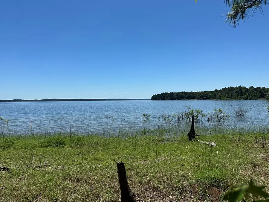 R12357 Lot 117 Fm 705, Broaddus, TX 75929 - Image #2