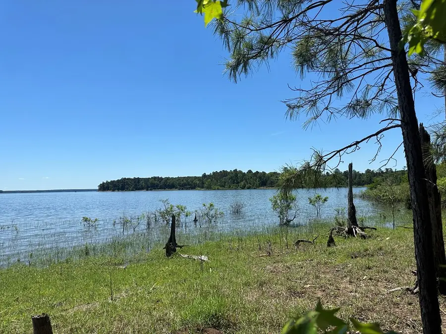 R12357 Lot 117 Fm 705, Broaddus, TX 75929 - Image #3