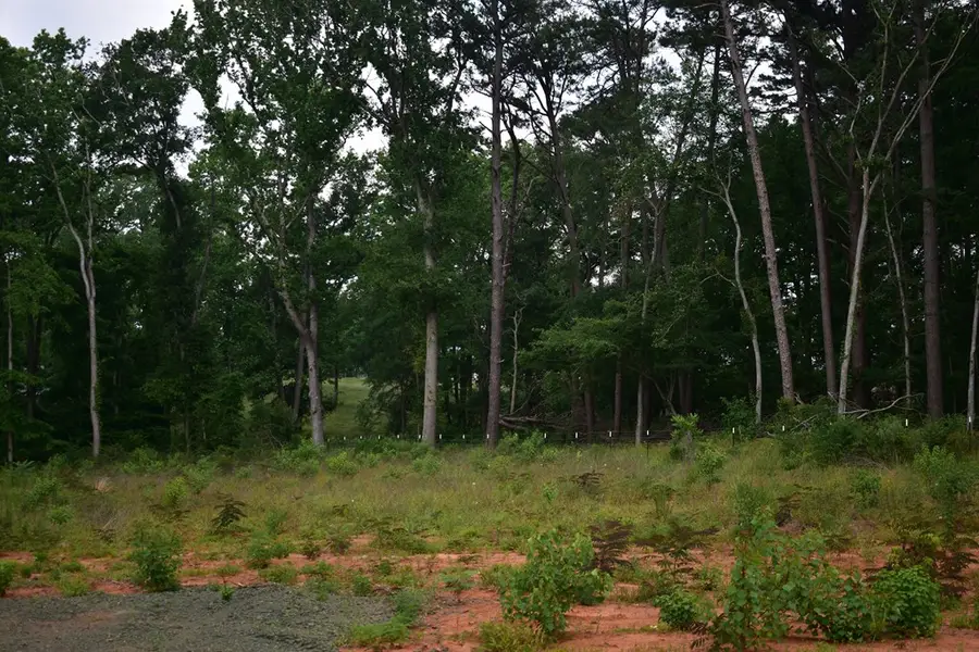 TBD- LOT 1 Us Hwy 259, Nacogdoches, TX 75965 - Image #3