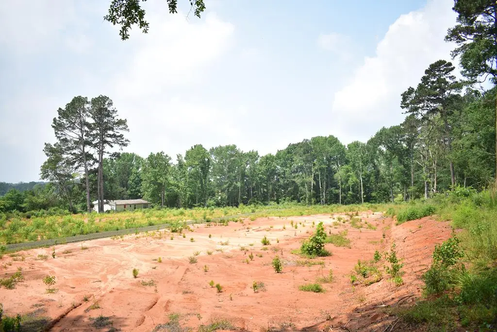 TBD- LOT 2 Us Hwy 259, Nacogdoches, TX 75965 - Image #1