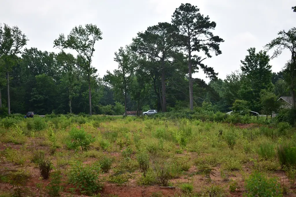 TBD- LOT 3 Us Hwy 259, Nacogdoches, TX 75965 - Image #1