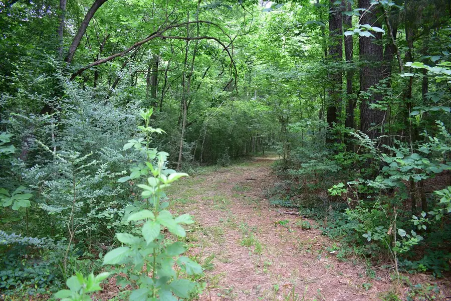 Lot26-31;36-41 Cr 508, Nacogdoches, TX 75961 - Image #2
