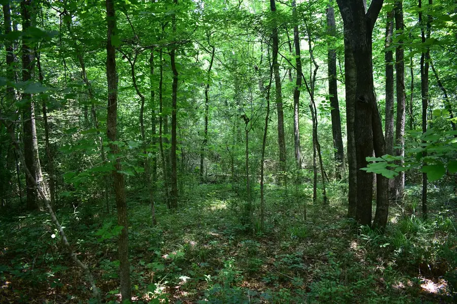 Lot26-31;36-41 Cr 508, Nacogdoches, TX 75961 - Image #3