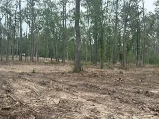 3870 tract 1 Cr 2590, Chester, TX 75936 - Image #3