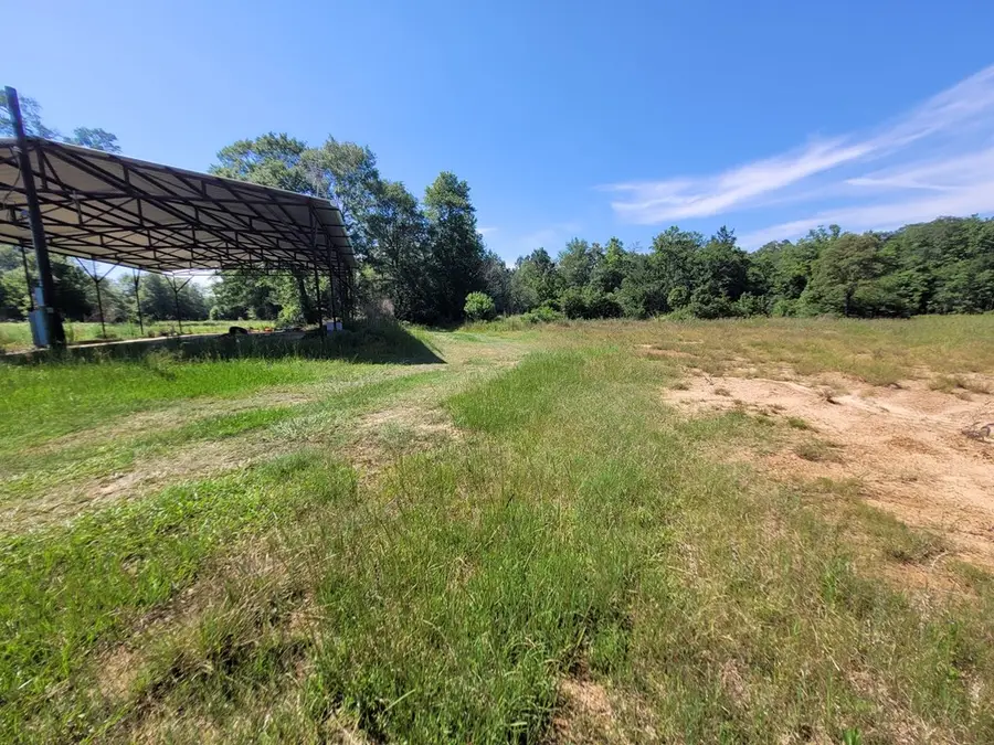 1565 County Road 3102, Call, TX 75933 - Image #3