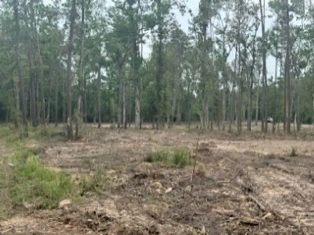 3870 tract 2 Cr 2590, Chester, TX 75936 - Image #1