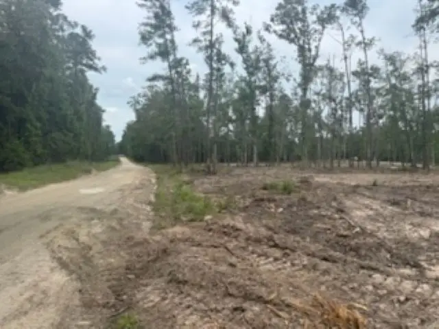 3870 tract 2 Cr 2590, Chester, TX 75936 - Image #2