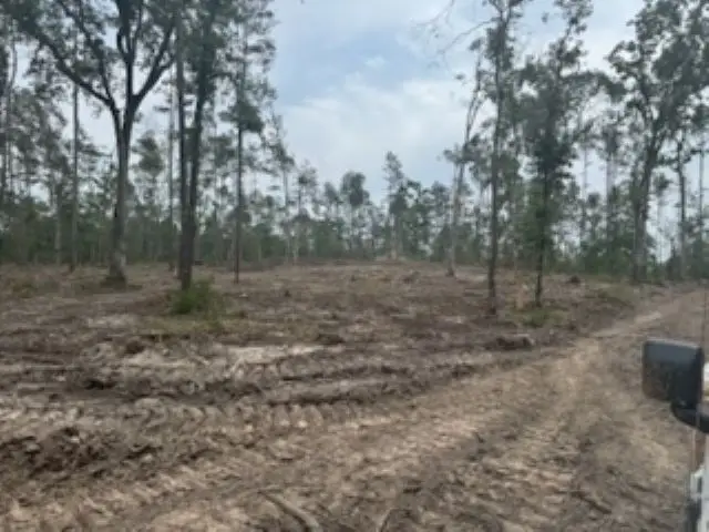 3870 tract 2 Cr 2590, Chester, TX 75936 - Image #3