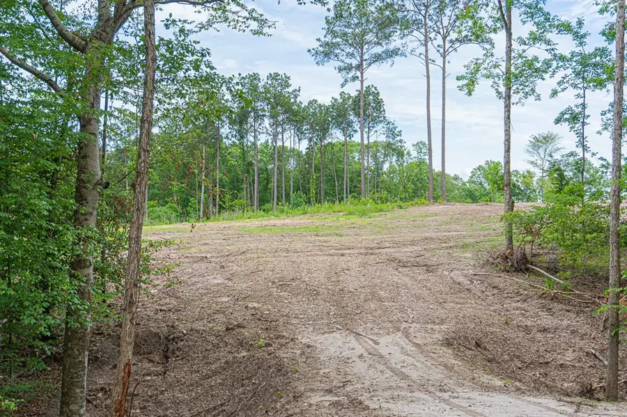 3 A375 tract 2 Moore Farm Road, Zavalla, TX 75980 - Image #3