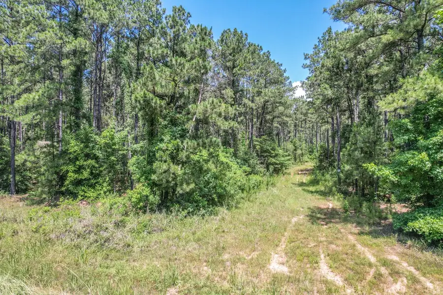 Parcel 28472 Pr 8480, Broaddus, TX 75929 - Image #3