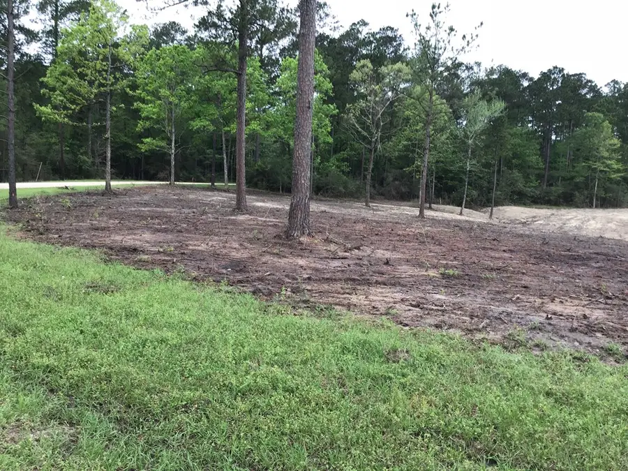 165 Jennifer Lane, Burkeville, TX 75932 - Image #2