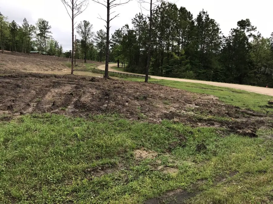 165 Jennifer Lane, Burkeville, TX 75932 - Image #3