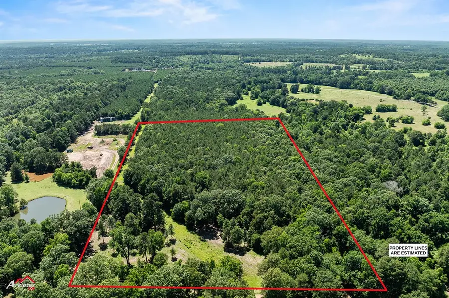 1590 County Road 3801, Joaquin, TX 75954 - Image #3