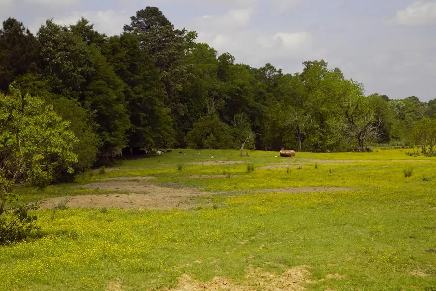 350 Rotan, Corrigan, TX 75939 - Image #2