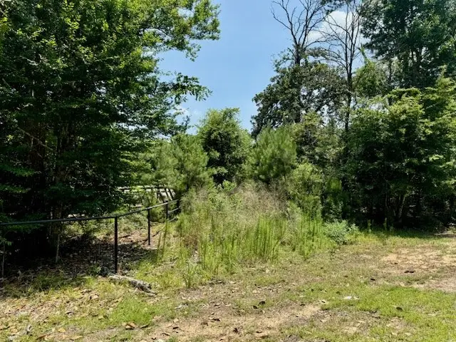 R005286 County Road 153, Jasper, TX 75951 - Image #2