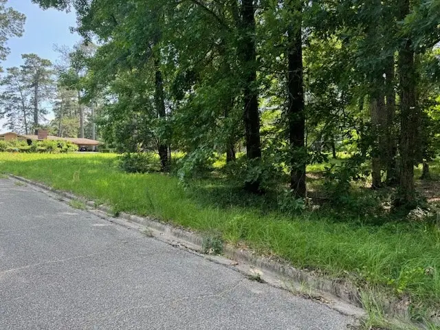 Lot 1 Hunterwood Dr, Jasper, TX 75951 - Image #2