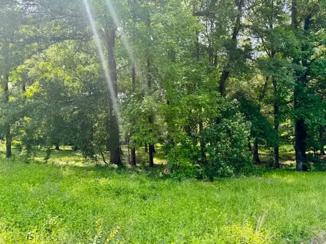 Lot 1 Hunterwood Dr, Jasper, TX 75951 - Image #3