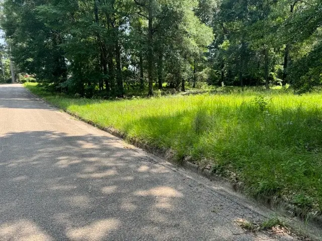 Lot 3 Hunterwood Dr, Jasper, TX 75951 - Image #2