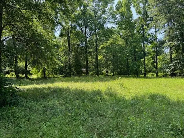 Lot 3 Hunterwood Dr, Jasper, TX 75951 - Image #3