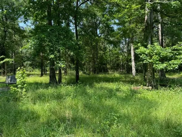 Lot 76 Hunterwood Dr, Jasper, TX 75951