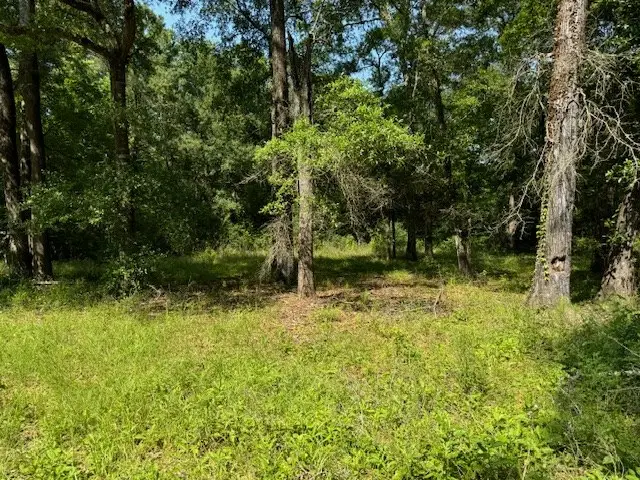 Lot 76 Hunterwood Dr, Jasper, TX 75951 - Image #2