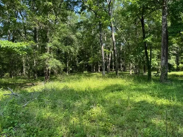 Lot 76 Hunterwood Dr, Jasper, TX 75951 - Image #3