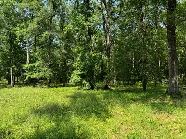 Lot 77 Hunterwood Dr, Jasper, TX 75951 - Image #1