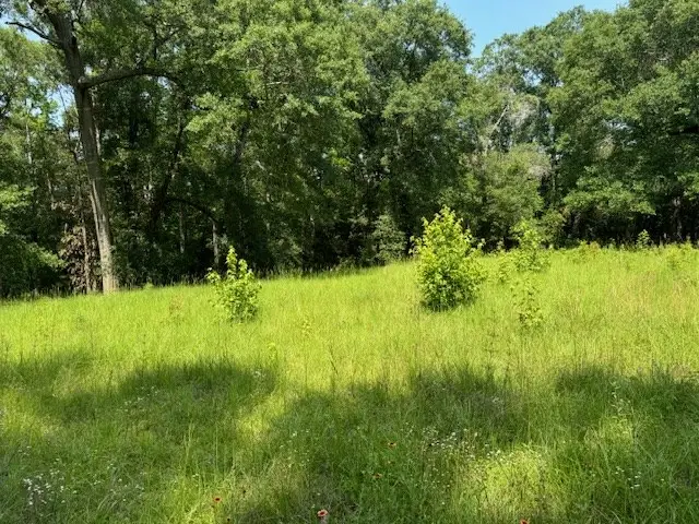 Lot 78 Hunterwood Dr, Jasper, TX 75951 - Image #2
