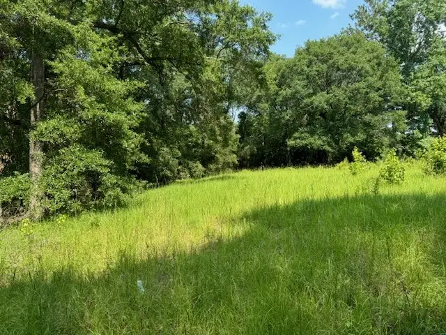 Lot 78 Hunterwood Dr, Jasper, TX 75951 - Image #3