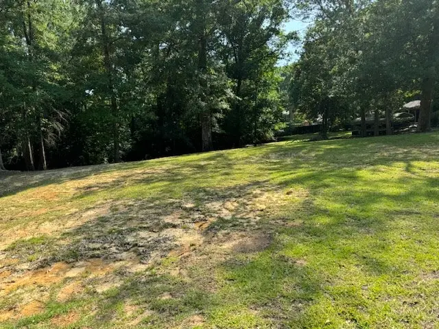 Lot 80 Hunterwood Dr, Jasper, TX 75951 - Image #2