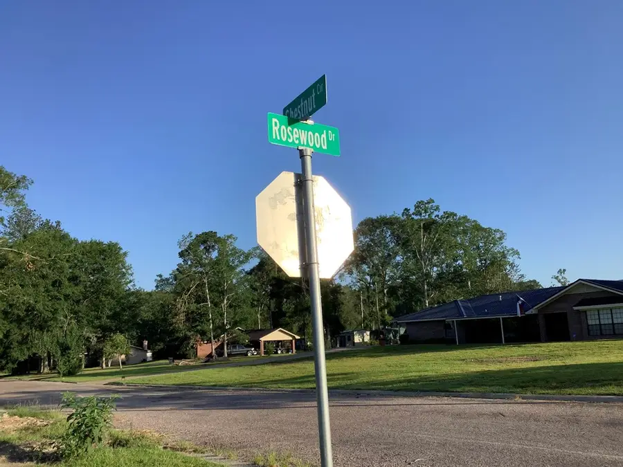 442 Rosewood Drive, Jasper, TX 75951 - Image #2