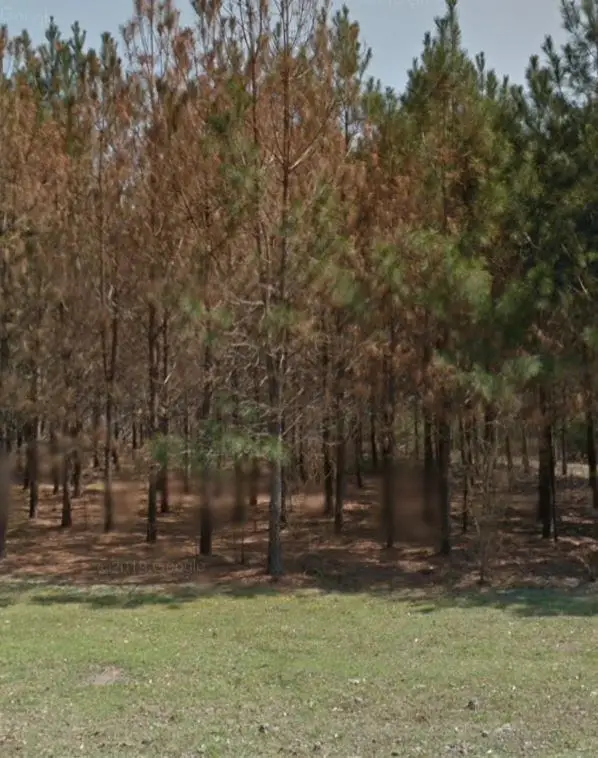 114 Everwood Court, Lufkin, TX 75904 - Image #3