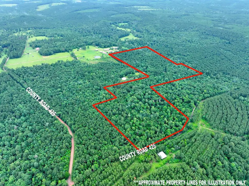 5129 County Road 425, Jasper, TX 75951 - Image #1