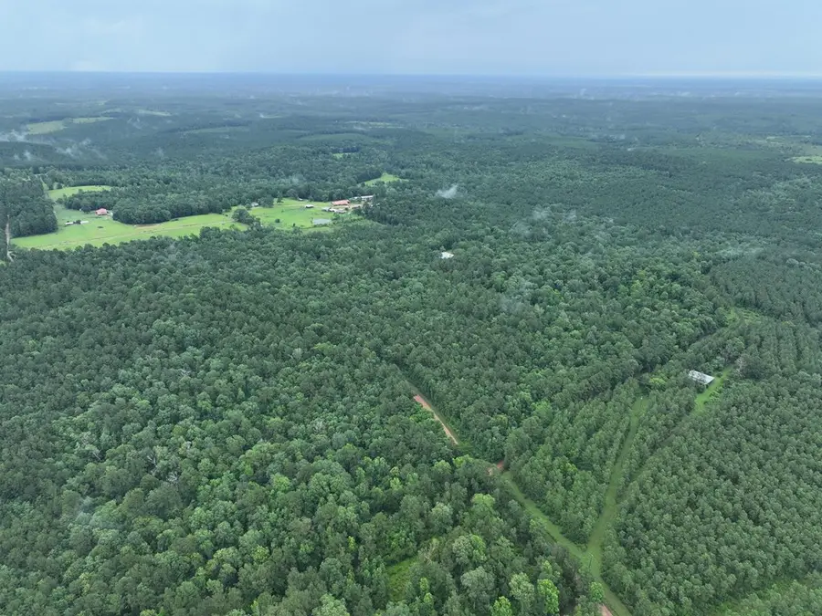 5129 County Road 425, Jasper, TX 75951 - Image #2