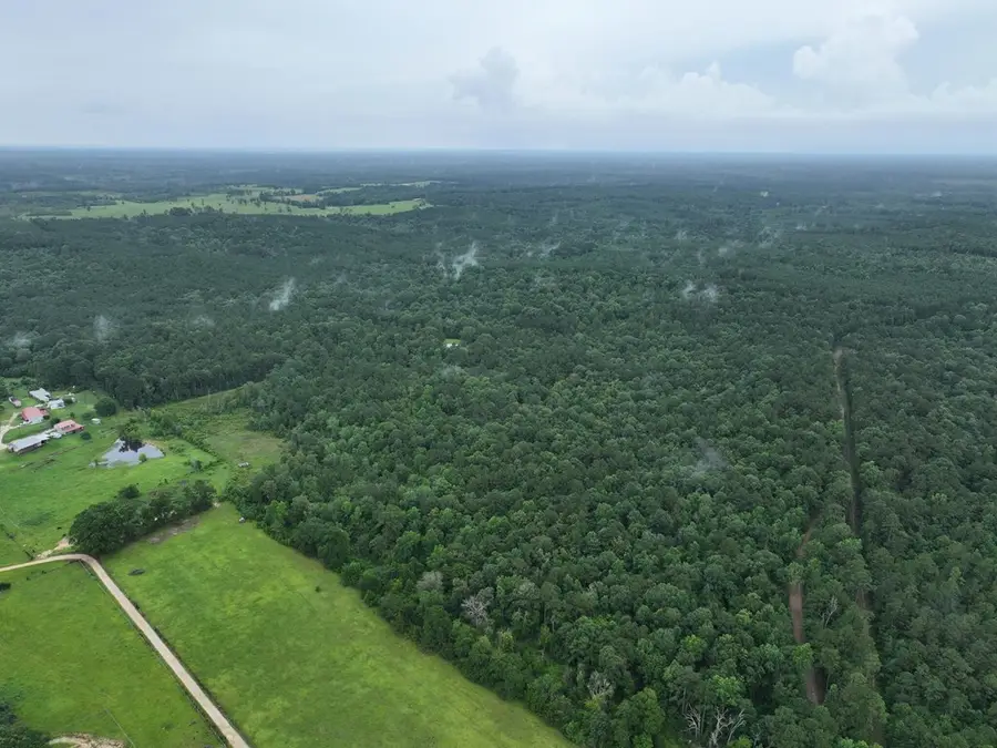 5129 County Road 425, Jasper, TX 75951 - Image #3