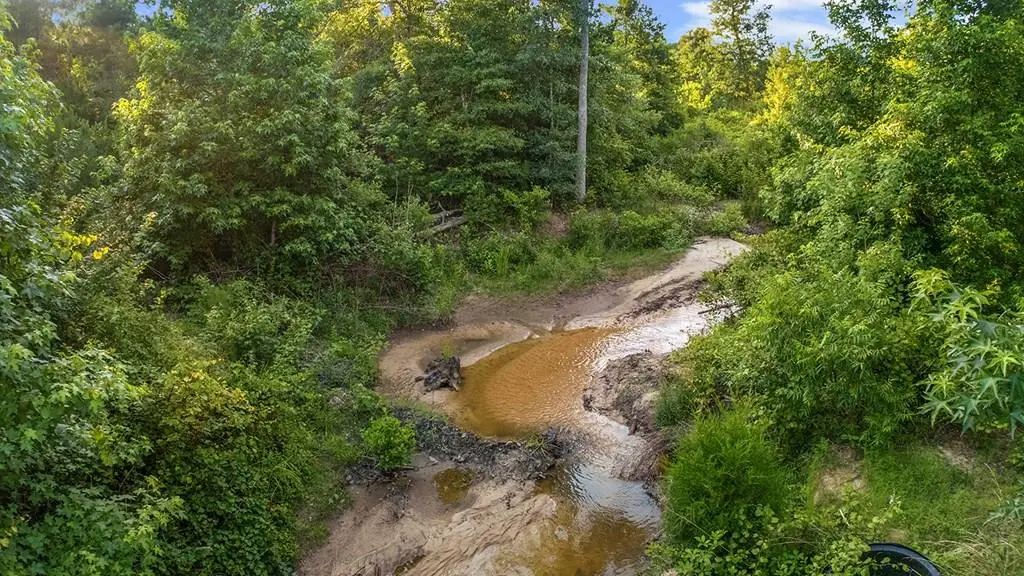 505 Private Road 8001, Jasper, TX 75951 - Image #1