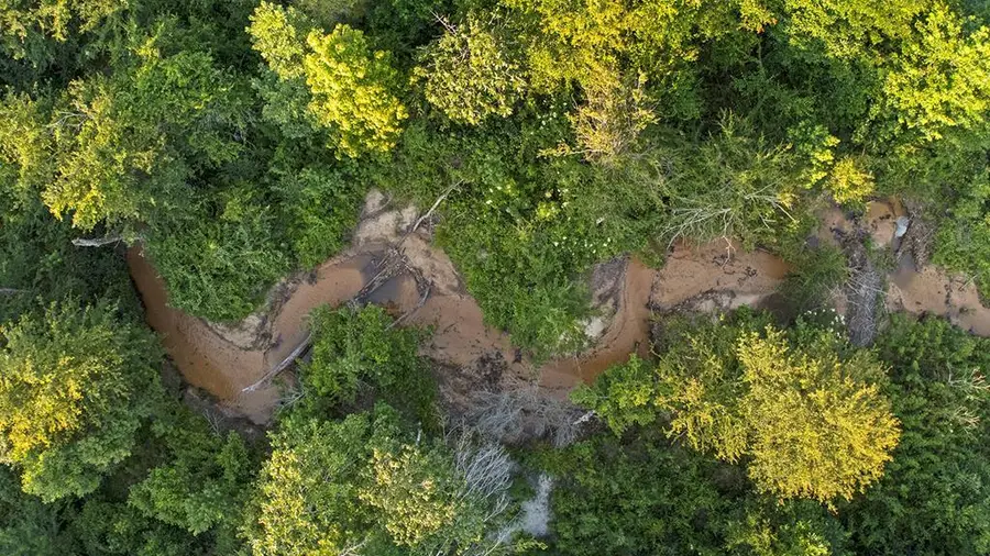 505 Private Road 8001, Jasper, TX 75951 - Image #2