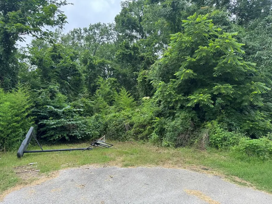 Lt 5.2 & 6 Treadwell, Lufkin, TX 75904 - Image #2