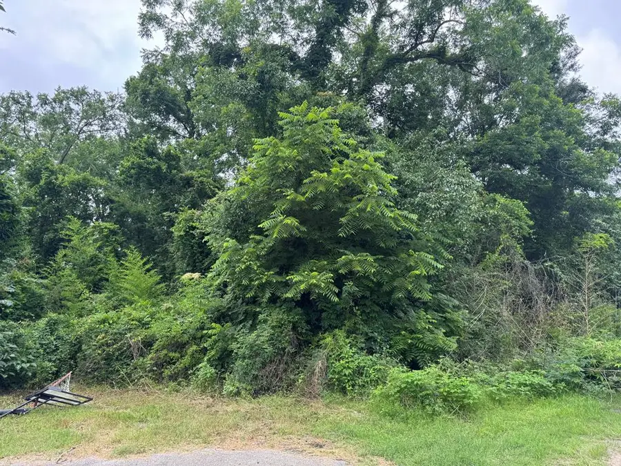 Lt 5.2 & 6 Treadwell, Lufkin, TX 75904 - Image #3