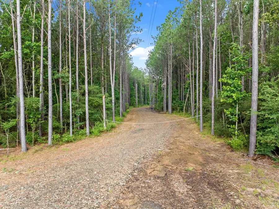 1620 Fm 1751, San Augustine, TX 75972 - Image #3