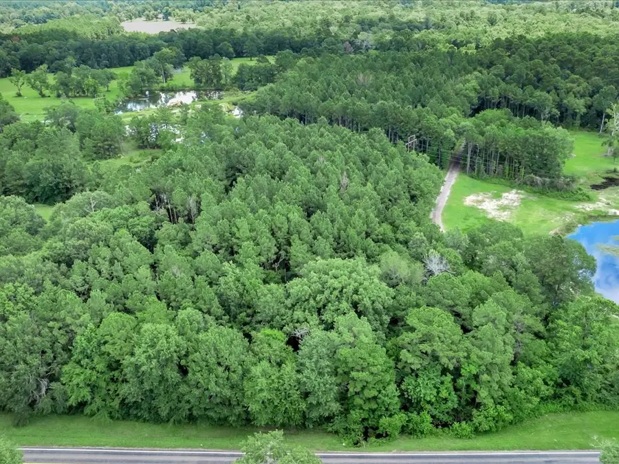 R18985 Fm 2497, Diboll, TX 75941 - Image #3