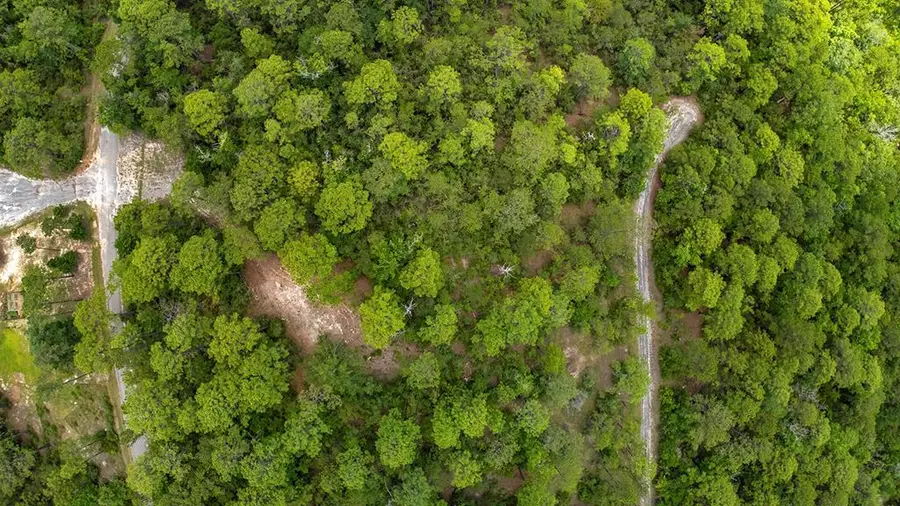 PID# 34698 Stelis Court, Brookeland, TX 75931 - Image #2