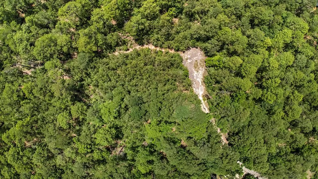 PID#34467 34468 Sweetgum Drive, Brookeland, TX 75931 - Image #1