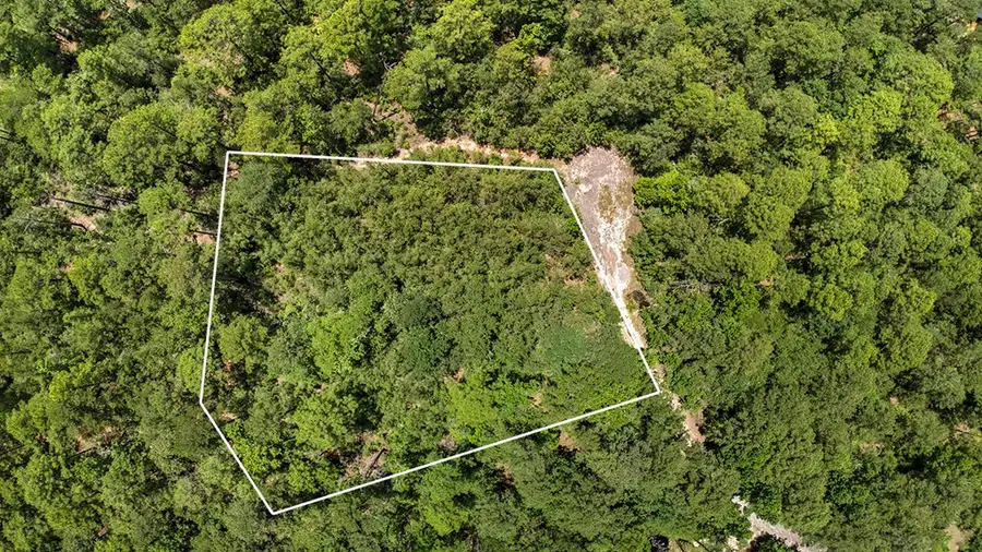 PID#34467 34468 Sweetgum Drive, Brookeland, TX 75931 - Image #2