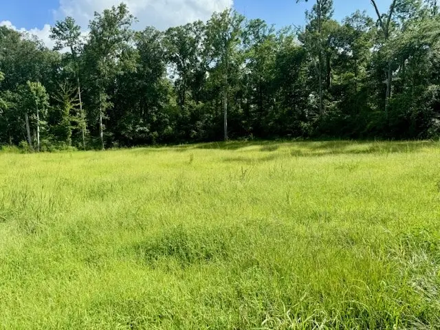 Lot 70 Ryall Ac County Road 172, Jasper, TX 75951 - Image #2